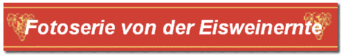 Fotoserie von der Eisweinernte
